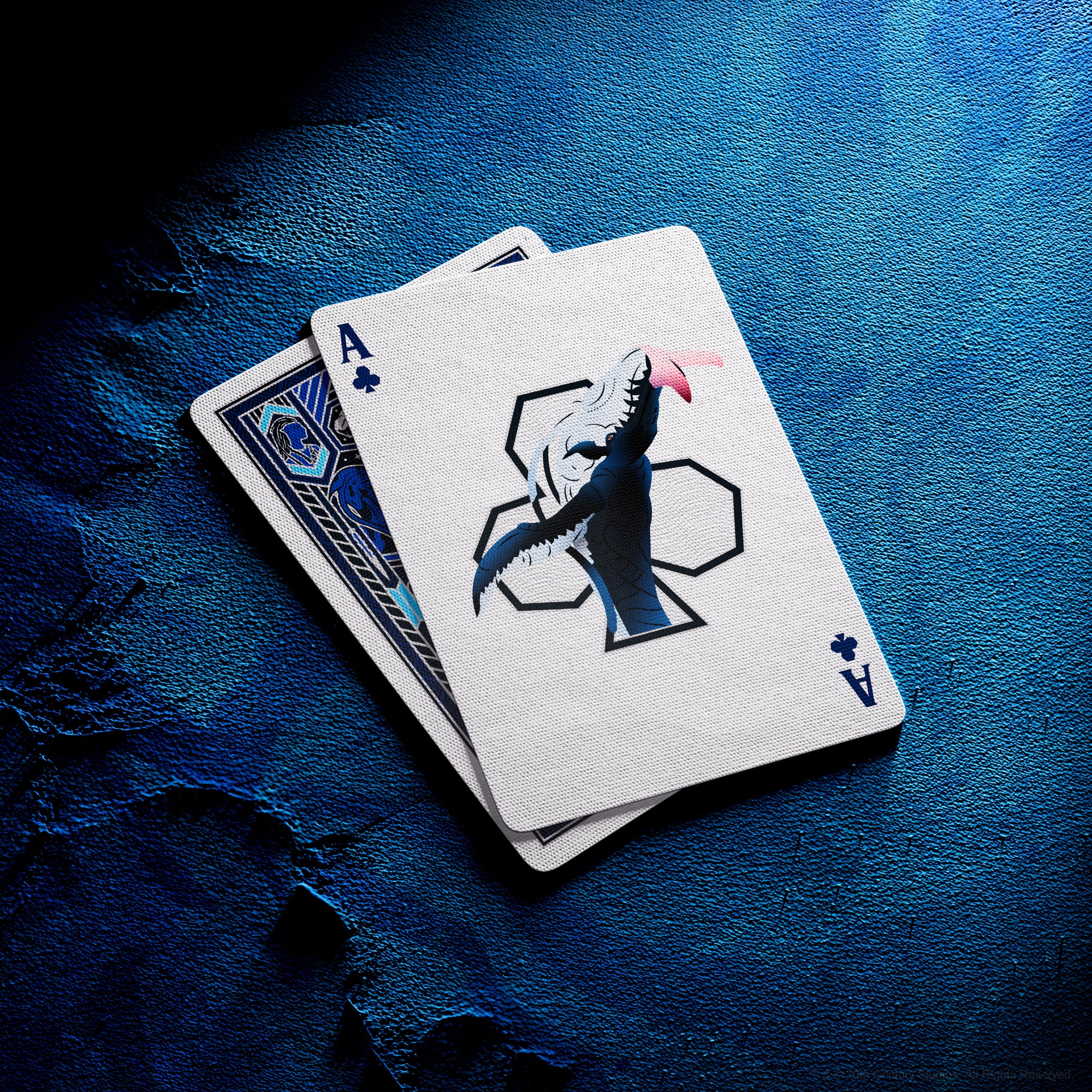 Avatar Playing Cards – image 17