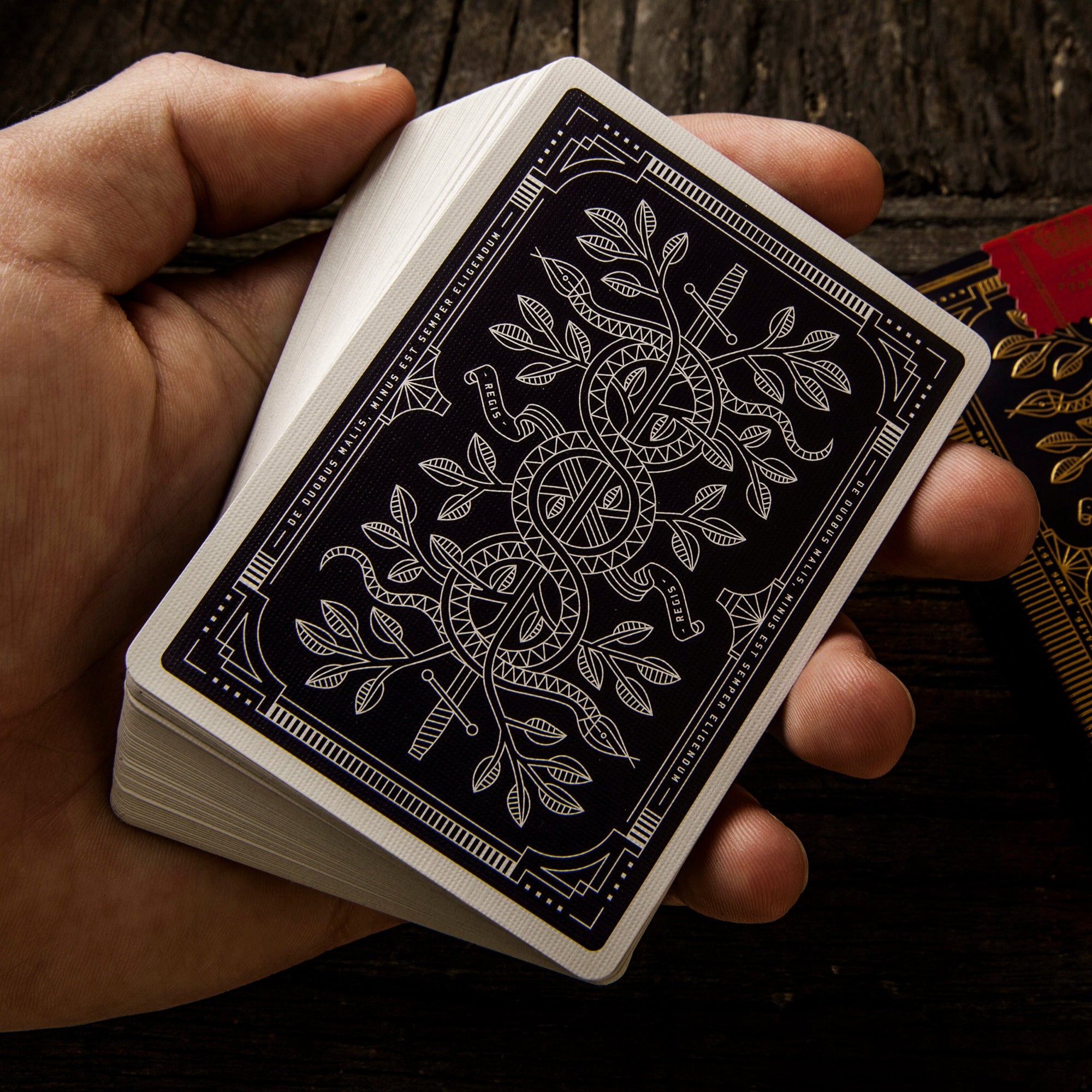 Monarchs – image 5