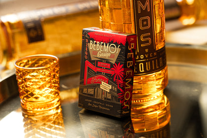 Bebemos Casino Playing Cards – image 1