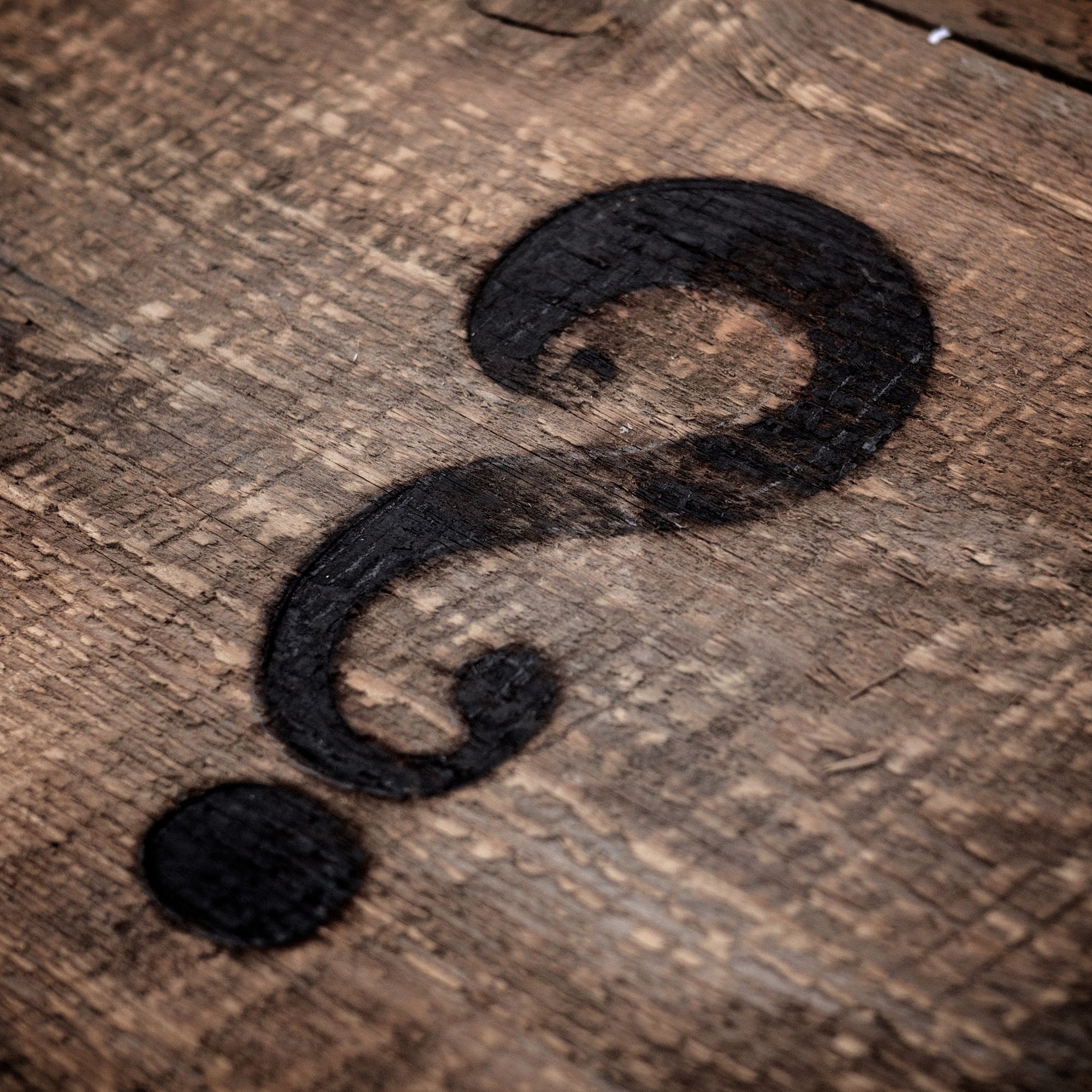 Mystery Box – image 19