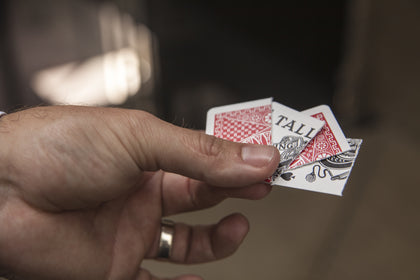 Counterfeit by Wayne Houchin – image 1